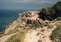 Klippen zwischen Leucate Plage und La Franqui