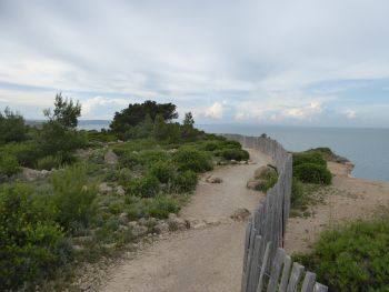 Klippen zwischen Leucate Plage und La Franqui