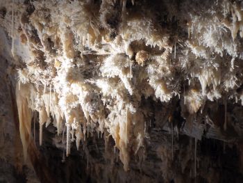 Wundersch&ouml;ne Details