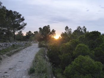 Auch Nachts ist der R&uuml;ckweg einfach