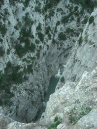 Georges de la Galamus