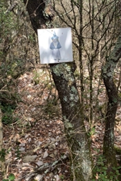 Warnung vor den Hexen