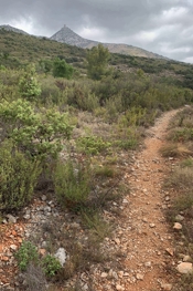 Das Ziel - der Tour Tautavel